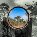 Paimpont et la forêt de Brocéliande - 20/03/2021