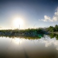 20220221_Everglades Sud_114.jpg