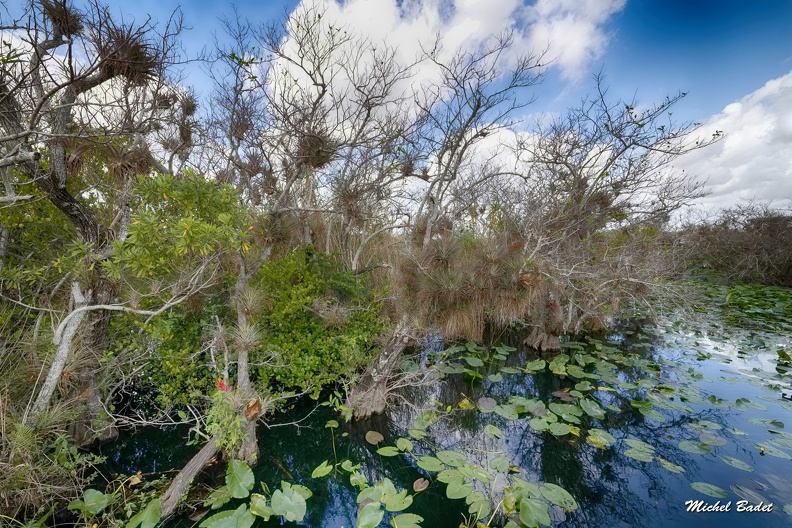 20220221_Everglades Sud_031.jpg