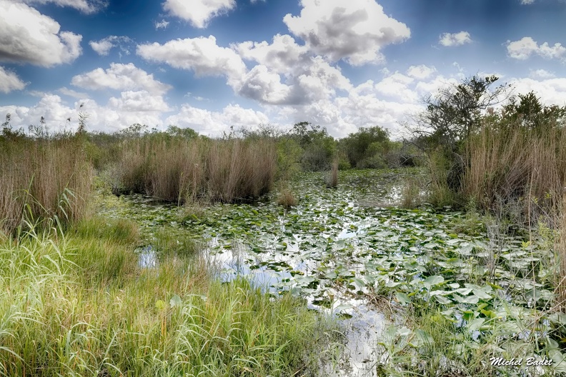 20220221_Everglades Sud_036.jpg