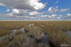 Everglades Sud - 21/02/2022