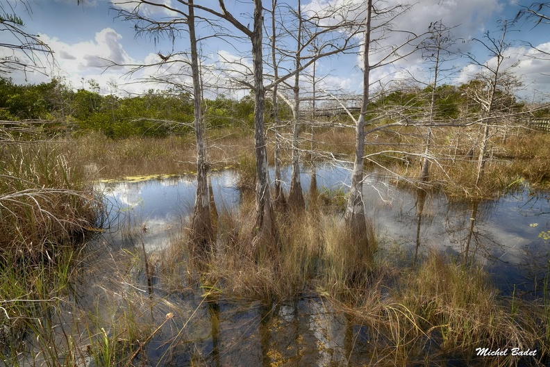 20220221_Everglades Sud_065.jpg