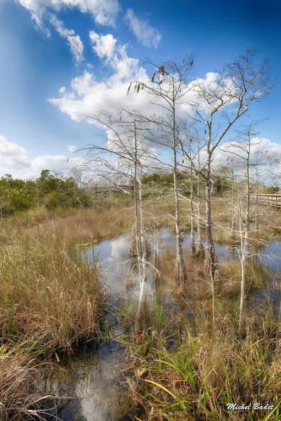 20220221_Everglades Sud_066.jpg
