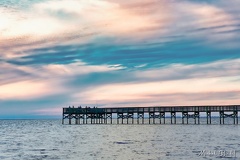 Fort Island Gulf Beach - 03/03/2022