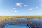 Air boat dans les Everglades - 24/02/2022