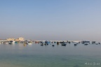 Alexandrie - La Corniche (01/03/2023)