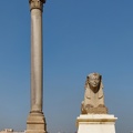 Alexandrie - Colonne de Pompée (01/03/2023)