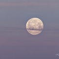 Melesse (35), Super lune rose - 07/04/2023