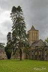 Abbaye de la Lucerne d'Outremer (50) - 01/05/2023