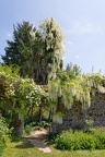 Parc botanique de Haute-Bretagne (35) - 27/05/2023