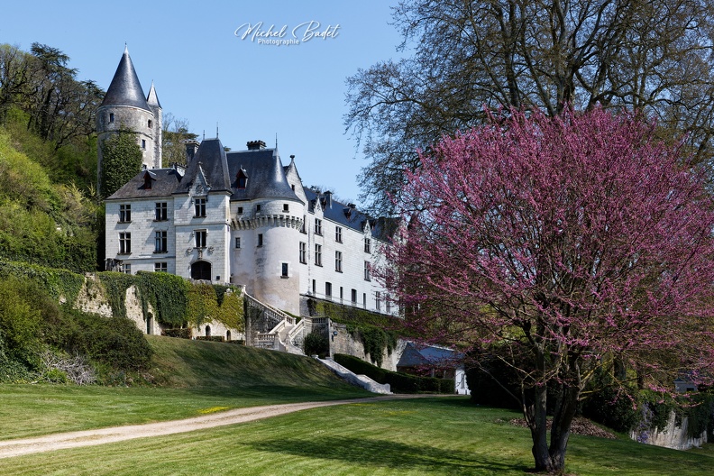 20230419_Château Chissay_003.jpg