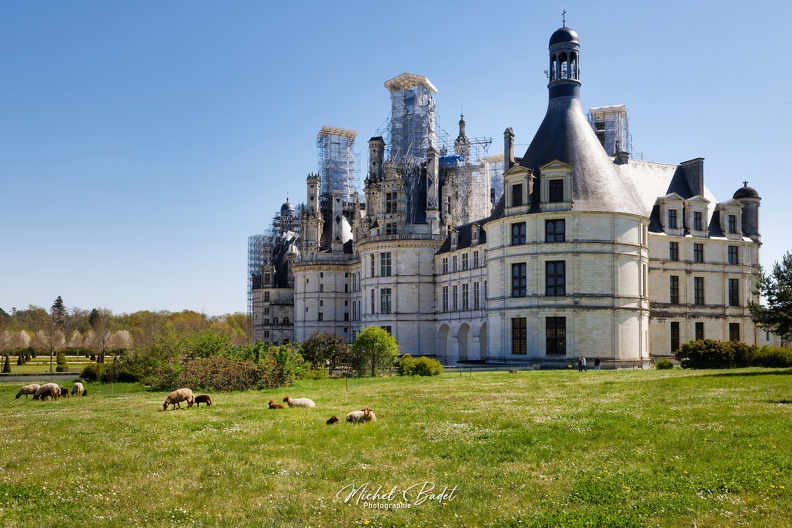 20230420_Château Chambord_057.jpg