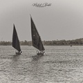 Les bords du Nil à Louxor - 07/03/2023